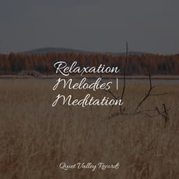 Relaxation Melodies | Meditation - Natural Sound Makers