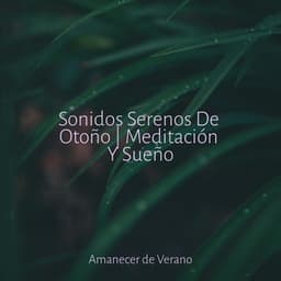 Sonidos Serenos De Otoño | Meditación Y Sueño - Children's Music