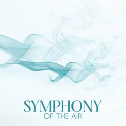 Symphony Of The Air - For The Eternal Rest