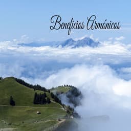 Beneficios Armónicos - Música Instrumental Maestro