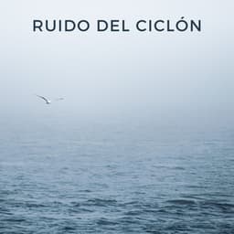 Ruido Del Ciclón - Bonitos ruidos de lluvia