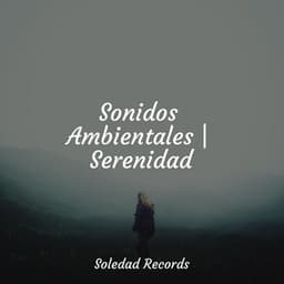 Sonidos Ambientales | Serenidad - Musica Relajante & Yoga