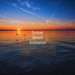 Sunset Beach Ambience - Ocean Waves