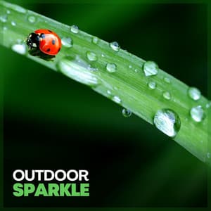 Outdoor Sparkle - Rain Sound Studio