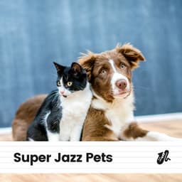 Super Jazz Pets - Jazz Music Therapy for Cats
