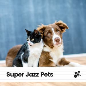 Super Jazz Pets - Jazz Music Therapy for Cats