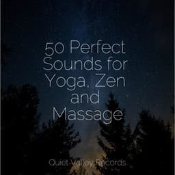 50 Perfect Sounds for Yoga, Zen and Massage - Ocean Sounds