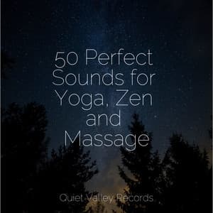 50 Perfect Sounds for Yoga, Zen and Massage - Ocean Sounds