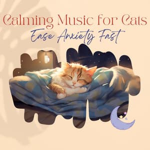Calming Music for Cats - Ease Anxiety Fast - Relax My Cat