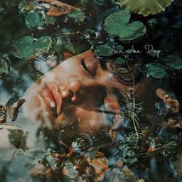 Quietly Submerged - Asia Ann Deep