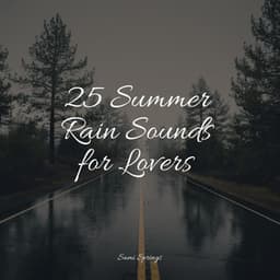 25 Summer Rain Sounds for Lovers - Avslappning Sound