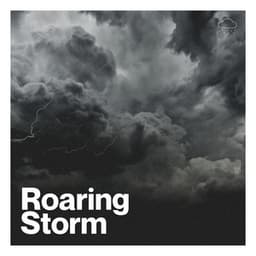 Roaring Storm - Nature Calm