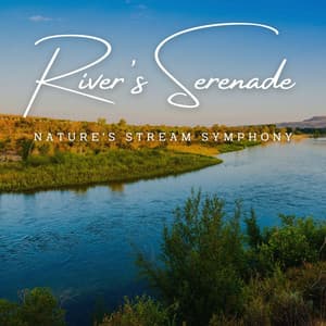 River's Serenade: Nature's Stream Symphony - Calming Water