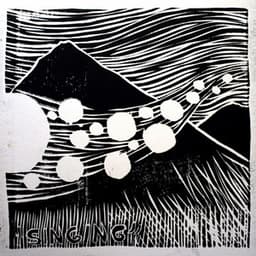 The Singing from Mount Eerie - The Microphones