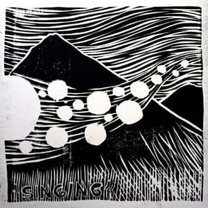 The Singing from Mount Eerie - The Microphones