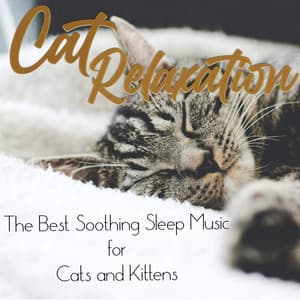 Cat Relaxation: The Best Soothing Sleep Music for Cats and Kittens - RelaxMyCat