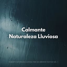 Calmante Naturaleza Lluviosa Para Un Ambiente Pacífico Vol. 1 - Príncipe de la lluvia