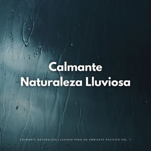 Calmante Naturaleza Lluviosa Para Un Ambiente Pacífico Vol. 1 - Príncipe de la lluvia