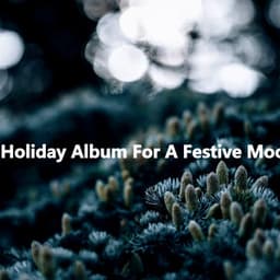 A Holiday Album For A Festive Mood - Dinner Jazz Playlist