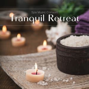 Tranquil Retreat: Calming Spa Music - Spa Music Consort