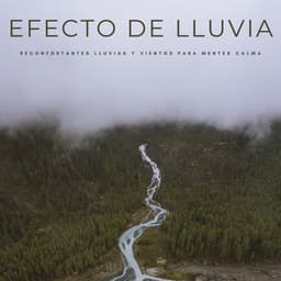 Efecto De Lluvia: Reconfortantes Lluvias y Vientos Para Mentes Calmas - Música Para La Relajación