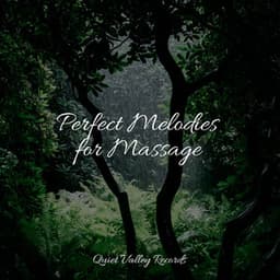 Perfect Melodies for Massage - Sonido de lluvia