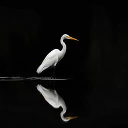 Sinfonía Binaural Del Sueño: Aves Del Arroyo En La Noche - 80 88 Hz - Dormir Profundamente Hipnosis