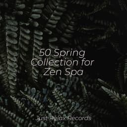 50 Spring Collection for Zen Spa - Drowsy Cloud
