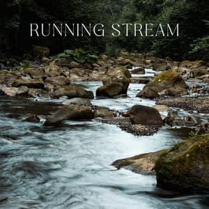 Running Stream: Soothing and Relaxing River Water Flow - Nature Sounds Collective