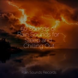 50 Sounds of Rain Sounds for Sleep and Chilling Out - Natureza