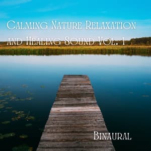 Binaural: Calming Nature Relaxation and Healing Sound Vol. 1 - Deep Sleep Music Delta Binaural 432 Hz