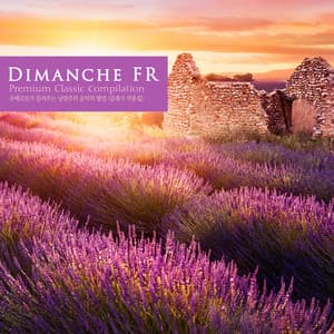 Schubert's Romantic Music Feast - Dimanche FR