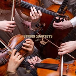 String Quartets Vol.4 - Gaetano Donizetti