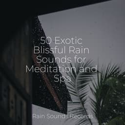 50 Exotic Blissful Rain Sounds for Meditation and Spa - Yoga Music