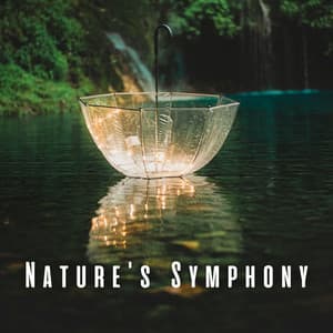 Nature's Symphony: Relaxation with Birds and Heavy Rain - Sound of Nature