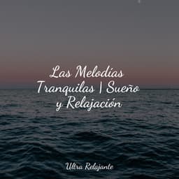 Las Melodías Tranquilas | Sueño y Relajación - Massagem Guru