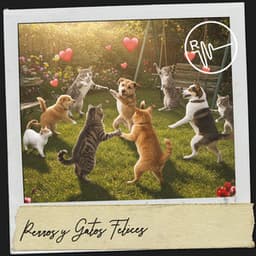 Perros y Gatos Felices: Una sinfonía de ronroneos y ladridos - Dog Relaxation