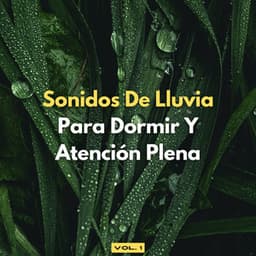 Sonidos De Lluvia Para Dormir Y Atención Plena, Vol. 1 - Lluvia tranquila para dormir