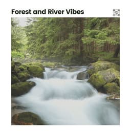 Forest and River Vibes - Weather and Nature Recordings