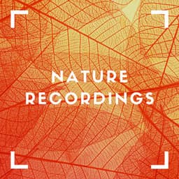 Natural Sleep Noise - Natural Sample Makers
