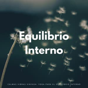 Calmas Vibras Vinyasa: Yoga Para El Equilibrio Interno - Sonidos de paz