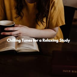 Chilling Tunes for a Relaxing Study - The Elevator Music Jazz Trio