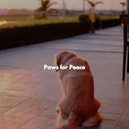 Paws for Peace - Hamilton Cafe Music
