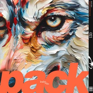 Leader of the Pack - Solfeggio Frequency Meditation