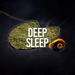 Deep Sleep - Nature Sounds