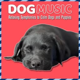 Dog Music: Relaxing Symphonies to Calm Dogs and Puppies - Dog Music