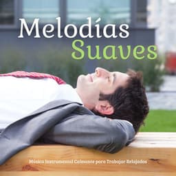 Melodías Suaves: Música Instrumental Calmante para Trabajar Relajados - Guitarra Sound