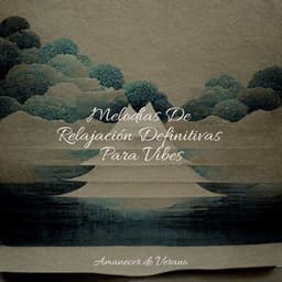 Melodías De Relajación Definitivas Para Vibes - Canciones Infantiles