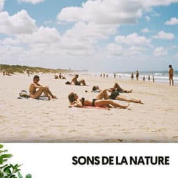 Sons de la Nature: Sérénade des Vagues - Dog Relaxation