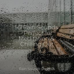 50 Rain Sounds - Perfect for Meditation & Chilling Out - Rain For Deep Sleep
